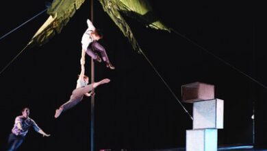 el-circo-vuelve-a-llenar-las-calles-y-plazas-de-quinto-este-fin-de-semana-en-la-segunda-edicion-de-su-festival