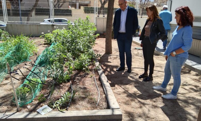 dieciocho-centros-reciben-18.500-e-en-yudas-municipales-por-educacion-ambiental