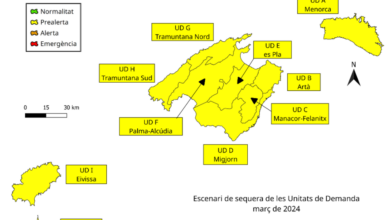 las-reservas-hidricas-de-balears-mejoran-ligeramente-en-marzo,-alcanzando-el-56%