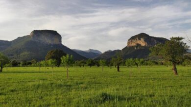 las-illes-balears-son-la-comunidad-autonoma-de-espana-con-mejor-porcentaje-de-pago-de-ayudas-a-los-agricultores-y-ganaderos