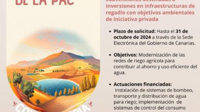 abierto-el-plazo-de-solicitud-de-subvenciones-pepac-a-inversiones-en-infraestructuras-de-regadio