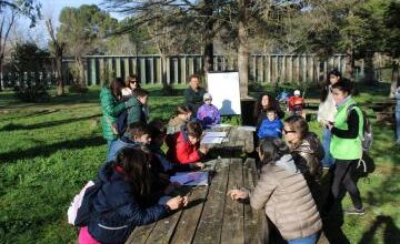 el-gobierno-regional-anima-a-los-centros-educativos,-familias-y-asociaciones-de-ciudad-real-a-participar-en-las-actividades-de-educacion-y-divulgacion-ambiental