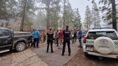 la-policia-autonomica-realiza-una-campana-de-inspeccion-y-control-sobre-la-caza-del-muflon-en-tenerife