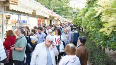 farcama-supera-los-40.000-visitantes-en-el-cierre-de-una-43-edicion-que-ha-estado-marcada-por-las-inclemencias-del-tiempo