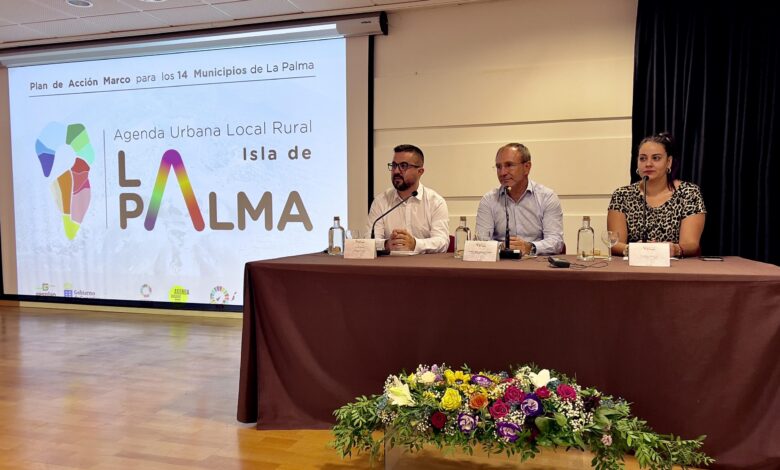 politica-territorial-presenta-a-los-14-municipios-de-la-palma-el-plan-de-accion-de-agenda-urbana-y-rural