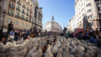 la-comunidad-de-madrid,-escenario-de-un-encuentro-internacional-en-defensa-de-la-trashumancia-como-patrimonio-cultural-de-la-humanidad