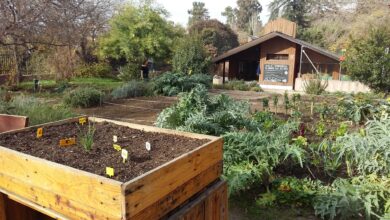 la-cabana-del-retiro-celebra-su-vigesimo-aniversario-como-aula-de-la-naturaleza