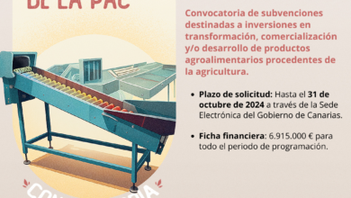 el-gobierno-canario-convoca-subvenciones-pepac-para-transformacion-y-comercializacion-de-productos-agricolas