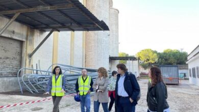 el-gobierno-de-castilla-la-mancha-contribuye-a-recuperar-el-entorno-de-los-silos-de-ciudad-real-con-un-plan-de-empleo-que-es-de-“gran-utilidad-social”