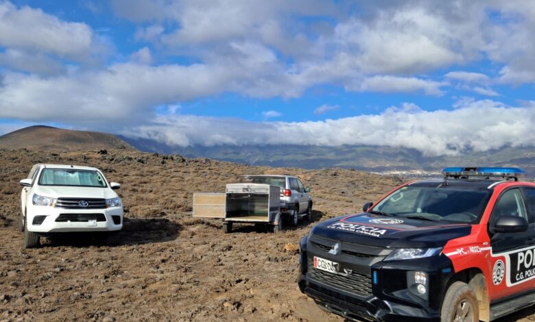 policia-autonomica-investiga-a-varios-cazadores-por-circular-en-la-reserva-natural-especial-del-malpais-de-guimar