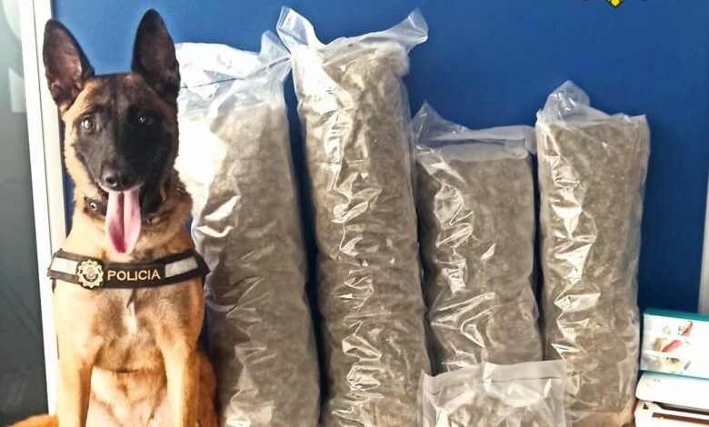 la-unidad-canina-de-policia-local-interviene-en-una-operacion-contra-el-trafico-de-drogas