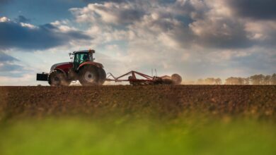 la-comunidad-de-madrid-anticipa-16-millones-de-ayudas-europeas-a-agricultores-y-ganaderos