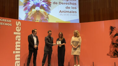 bustinduy-anuncia-el-primer-plan-estatal-contra-el-abandono-de-animales-de-compania