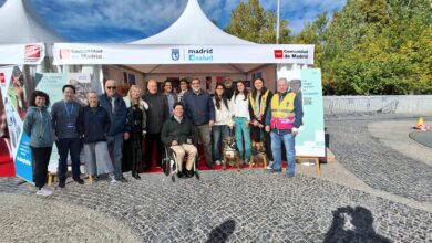 madrid-salud-informa-sobre-las-actuaciones-del-ayuntamiento-en-materia-de-proteccion-animal-y-fomenta-la-tenencia-responsable