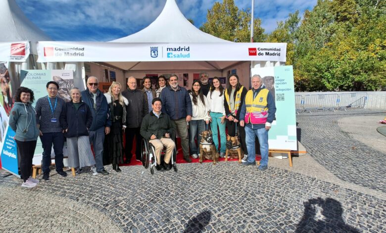 madrid-salud-informa-sobre-las-actuaciones-del-ayuntamiento-en-materia-de-proteccion-animal-y-fomenta-la-tenencia-responsable