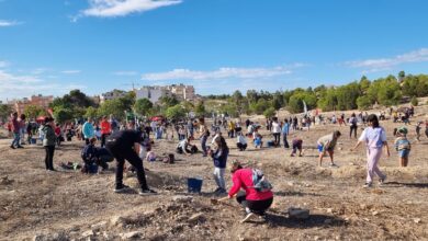 mas-de-1.600-personas-reforestan-el-entorno-de-villafranqueza-con-alicante-renace