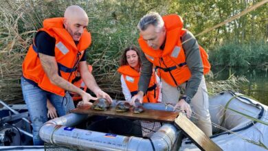 la-comunidad-de-madrid-retira-mas-de-400-ejemplares-de-especies-invasoras-del-parque-regional-del-sureste