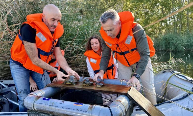 la-comunidad-de-madrid-retira-mas-de-400-ejemplares-de-especies-invasoras-del-parque-regional-del-sureste