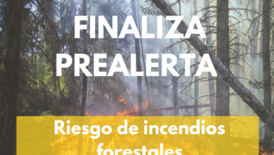 la-mejora-meteorologica-permite-finalizar-la-prealerta-extraordinaria-por-incendio-forestal-activada-desde-marzo