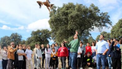 el-gobierno-regional-libera-en-oropesa-a-cinco-aves-rapaces-recuperadas-y-criadas-en-el-ceri-de-sevilleja-de-la-jara