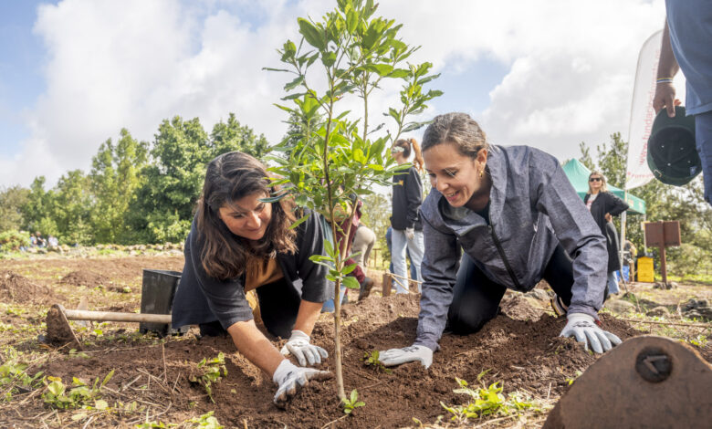 turismo-organiza-una-reforestacion-con-la-plantacion-de-180-arboles-en-la-que-participan-ochenta-profesionales