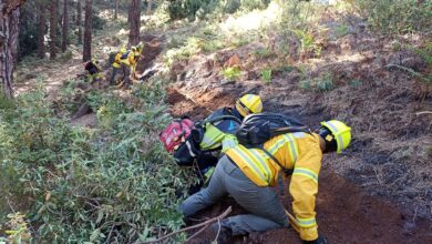 el-gobierno-abre-a-consulta-publica-el-borrador-del-decreto-de-prevencion-y-extincion-de-incendios-forestales