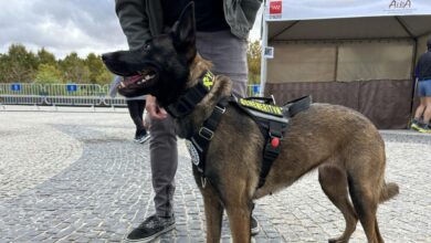 la-comunidad-de-madrid-duplica-los-nuevos-hogares-para-animales-de-compania-en-su-xix-salon-de-la-adopcion