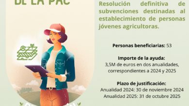 el-gobierno-canario-concede-ayudas-del-pepac-a-53-jovenes-agricultores-y-agricultoras-por-valor-de-3,5m-de-euros