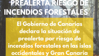 el-gobierno-de-canarias-declara-la-situacion-de-prealerta-por-riesgo-de-incendios-forestales