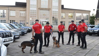 la-unidad-canina-de-la-ertzaintza-parte-hacia-valencia-para-ayudar-en-la-localizacion-de-personas-desaparecidas