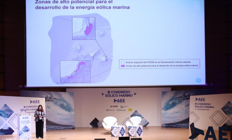 canarias-presenta-datos-socioeconomicos-del-proyecto-del-parque-eolico-offshore-en-el-congreso-de-eolica-marina