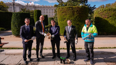 madrid-lucira-un-jardin-de-tulipanes-donados-por-la-princesa-de-orange