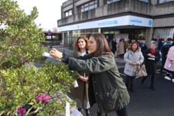 noemi-diaz,-no-dia-das-vitimas-de-violencia-viaria:-“a-concienciacion-e-o-traballo-preventivo-a-escala-interxeracional-poden-axudar-a-evitar-a-perda-de-vidas”