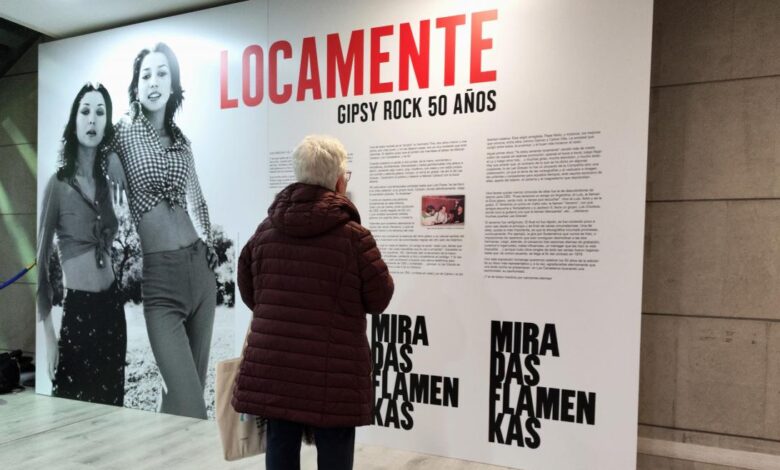 la-comunidad-de-madrid-celebra-a-ritmo-de-las-grecas-el-dia-del-flamenco-en-el-centro-cultural-pilar-miro