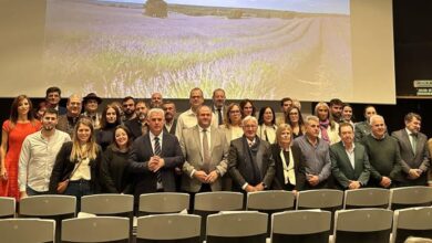 el-gobierno-regional-subraya-la-repercusion-economica,-social-y-cultural-que-ha-tenido-el-cultivo-y-procesamiento-de-la-lavanda-para-guadalajara