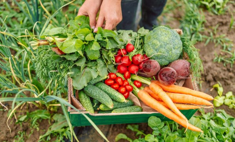 la-comunidad-de-madrid-exhibe-en-biocultura-2024-su-oferta-de-alimentos-ecologicos-con-actividades,-catas-y-talleres-familiares