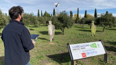 la-comunidad-de-madrid-incorpora-drones-e-inteligencia-artificial-para-mejorar-el-rendimiento-de-los-cultivos