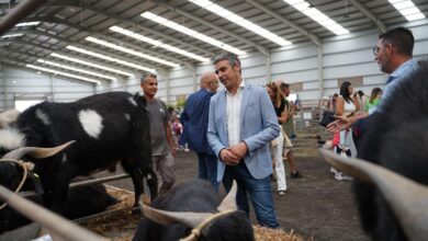 convocadas-las-ayudas-posei-a-los-productores-de-cultivos-forrajeros-para-alimentacion-animal