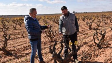 el-gobierno-regional-ha-ayudado-a-cerca-de-800-jovenes-agricultores-de-la-provincia-de-cuenca-a-incorporarse-al-campo-desde-2015