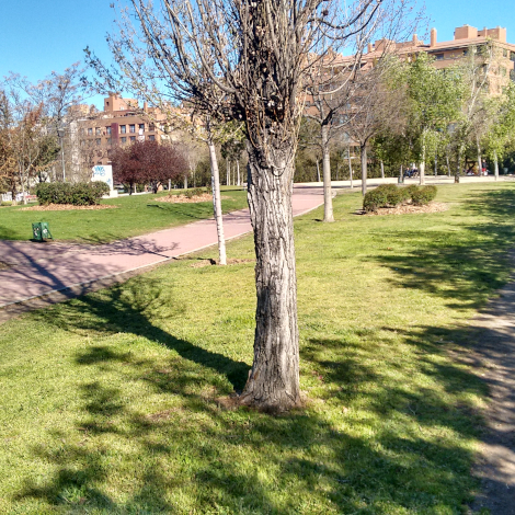 fuencarral-el-pardo-contara-con-un-parque-dedicado-a-jose-maria-carrascal