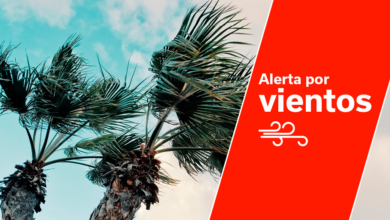 el-gobierno-declara-la-situacion-de-alerta-por-viento-en-tenerife,-el-hierro-y-la-gomera