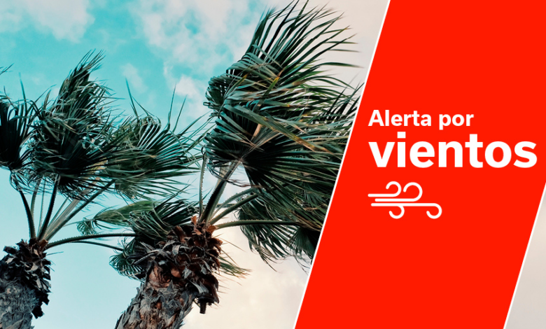 el-gobierno-declara-la-situacion-de-alerta-por-viento-en-tenerife,-el-hierro-y-la-gomera