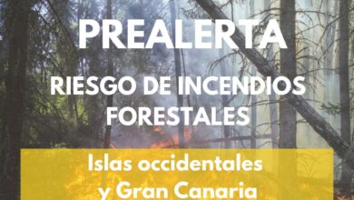 el-gobierno-de-canarias-actualiza-la-situacion-por-riesgo-de-incendios-forestales