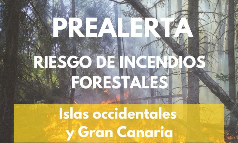 el-gobierno-de-canarias-actualiza-la-situacion-por-riesgo-de-incendios-forestales