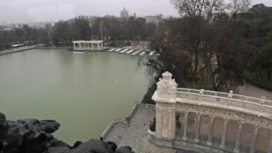 pasea-madrid-ofrece-mas-de-16.000-plazas-en-su-nueva-temporada-de-visitas-guiadas-gratuitas-para-difundir-el-patrimonio-cultural-de-la-capital