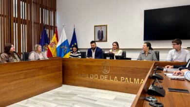 maria-fernandez-presenta-a-las-administraciones-palmeras-el-proceso-para-la-elaboracion-de-la-ley-de-movilidad