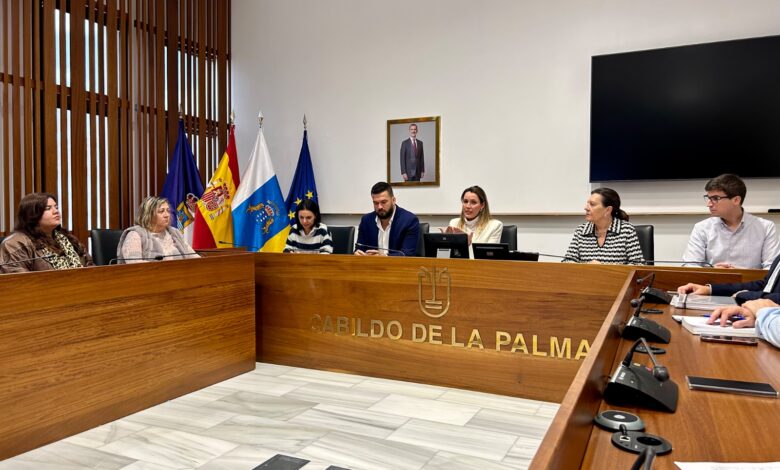 maria-fernandez-presenta-a-las-administraciones-palmeras-el-proceso-para-la-elaboracion-de-la-ley-de-movilidad