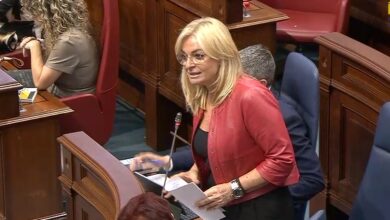 esther-monzon-expone-en-el-parlamento-de-canarias-las-ventajas-del-visor-de-historia-clinica-unificada-del-scs