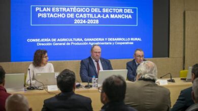 el-gobierno-regional-presenta-el-plan-estrategico-del-pistacho-2024-2028-para-tener-un-sector-fuerte,-estructurado-y-con-futuro-a-largo-plazo