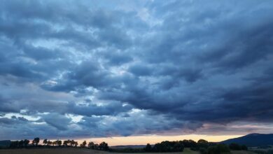 euskalmet-califica-el-otono-meteorologico-de-humedo-con-temperaturas-medias-muy-calidas